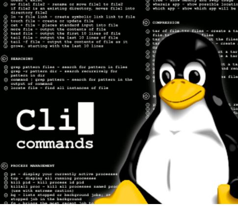 Linux CLI